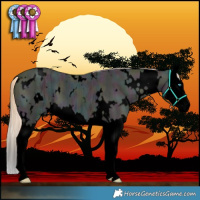 Horse Color:Void White Spotted Midnight Perlino Ice Splash