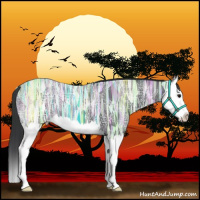 Horse Color:Black Ice Sabino Splash 