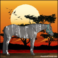 Horse Color:White Spotted Black Ice 