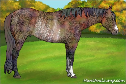 Horse Color:Nacre Bay Ice Rabicano 