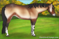 Horse Color:Brown Onyx Tobiano 