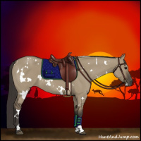 Horse Color:White Spotted Smoky Grullo 