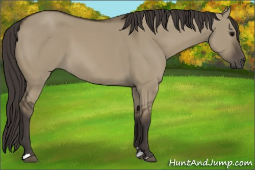 Horse Color:Smoky Grullo Sabino 