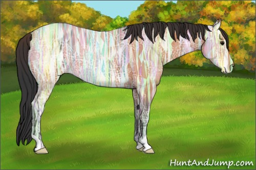 Horse Color:Bay Ice 
