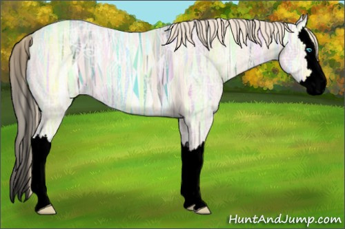 Horse Color:Void Perlino Ice Splash 