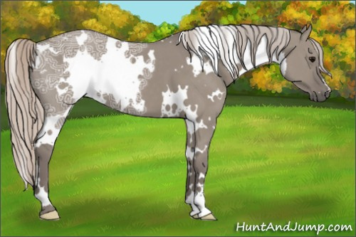 Horse Color:White Spotted Silver Grullo Ice 
