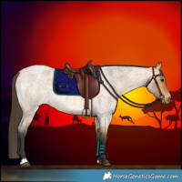 Horse Color:Buckskin Roan 