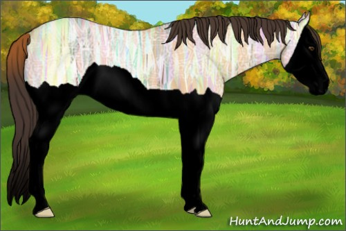 Horse Color:Void Buckskin Ice Dun Splash 