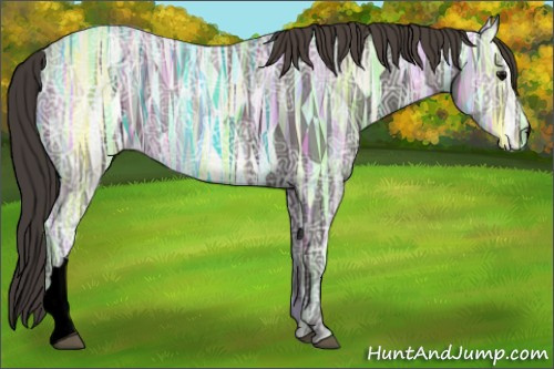 Horse Color:Void Smoky Black Ice 