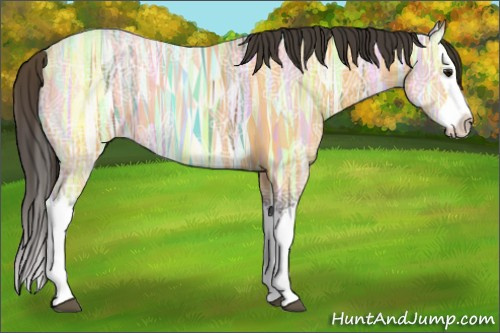 Horse Color:Buckskin Ice Splash 