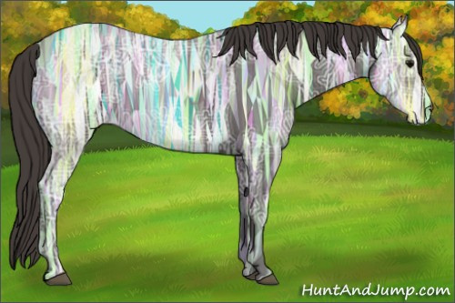 Horse Color:Void Smoky Black Ice 