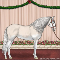 Horse Color:Cremello Splash  and Cremello Splash 