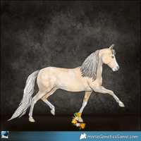 Horse Color:Cremello Splash  and Palomino Pearl Splash 