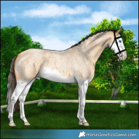 Horse Color:Buckskin Roan Splash 