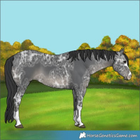 Horse Color:Black Ice