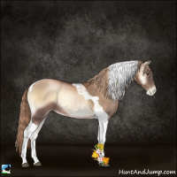 Horse Color:Liver Red Onyx Pearl Tobiano Rabicano 