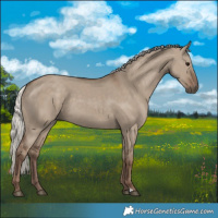 Horse Color:Silver Grullo 