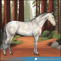 Horse Color:White Spotted Buckskin Dun Appaloosa 