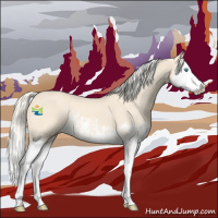 Horse Color:Cremello Splash  and Cremello Splash 