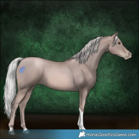 Horse Color:Platinum Silver Black Pearl Tobiano 