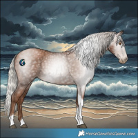 Horse Color:Gray Silver Black Pearl Tobiano