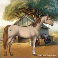 Horse Color:Red Dun Roan 