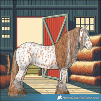 Horse Color:Chestnut Near Leopard 