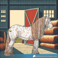 Horse Color:Chestnut Appaloosa