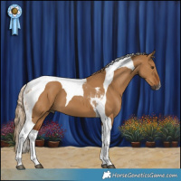 Horse Color:Gray Red Dun Tobiano 
