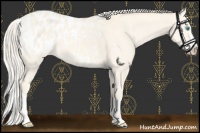 Horse Color:Cremello Splash Appaloosa  and Cremello Splash Appaloosa 