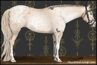 Horse Color:Gold Champagne Pearl Varnish Rabicano  and Gray Gold Champagne Pearl Varnish Rabicano 