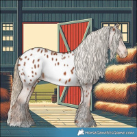 Horse Color:Chestnut Near Leopard