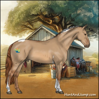 Horse Color:Red Dun Tobiano 