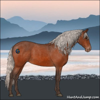 Horse Color:Silver Bay Varnish 