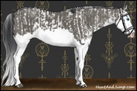 Horse Color:Grullo Sabino Splash  and Grullo Sabino Splash 