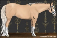 Horse Color:Gold Champagne Splash 