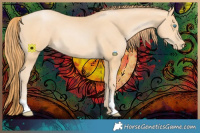 Horse Color:Buckskin Pearl 