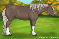 Horse Color:Silver Black 