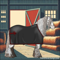 Horse Color:Silver Black Appaloosa 