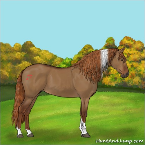 Horse Color:Gray Red Dun Tobiano 
