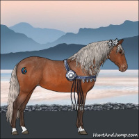 Horse Color:Silver Bay Appaloosa 