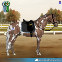 Horse Color:White Spotted Silver Black 