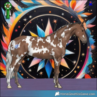Horse Color:White Spotted Silver Black