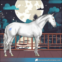 Horse Color:Gray White Spotted Liver Red Dun Mushroom Sabino Rabicano 