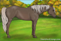 Horse Color:Silver Black