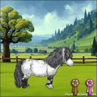 Horse Color:White Spotted Bay Chinchilla Appaloosa 