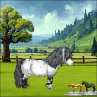 Horse Color:White Spotted Bay Chinchilla Appaloosa 