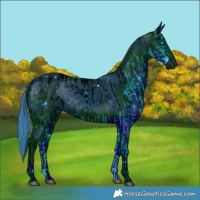 Horse Color:ERROR: UNKNOWN ANOMALY and ERROR: UNKNOWN ANOMALY