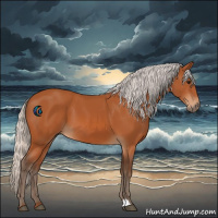 Horse Color:Silver Bay 