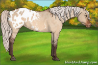 Horse Color:Silver Brown Dun Blanket 
